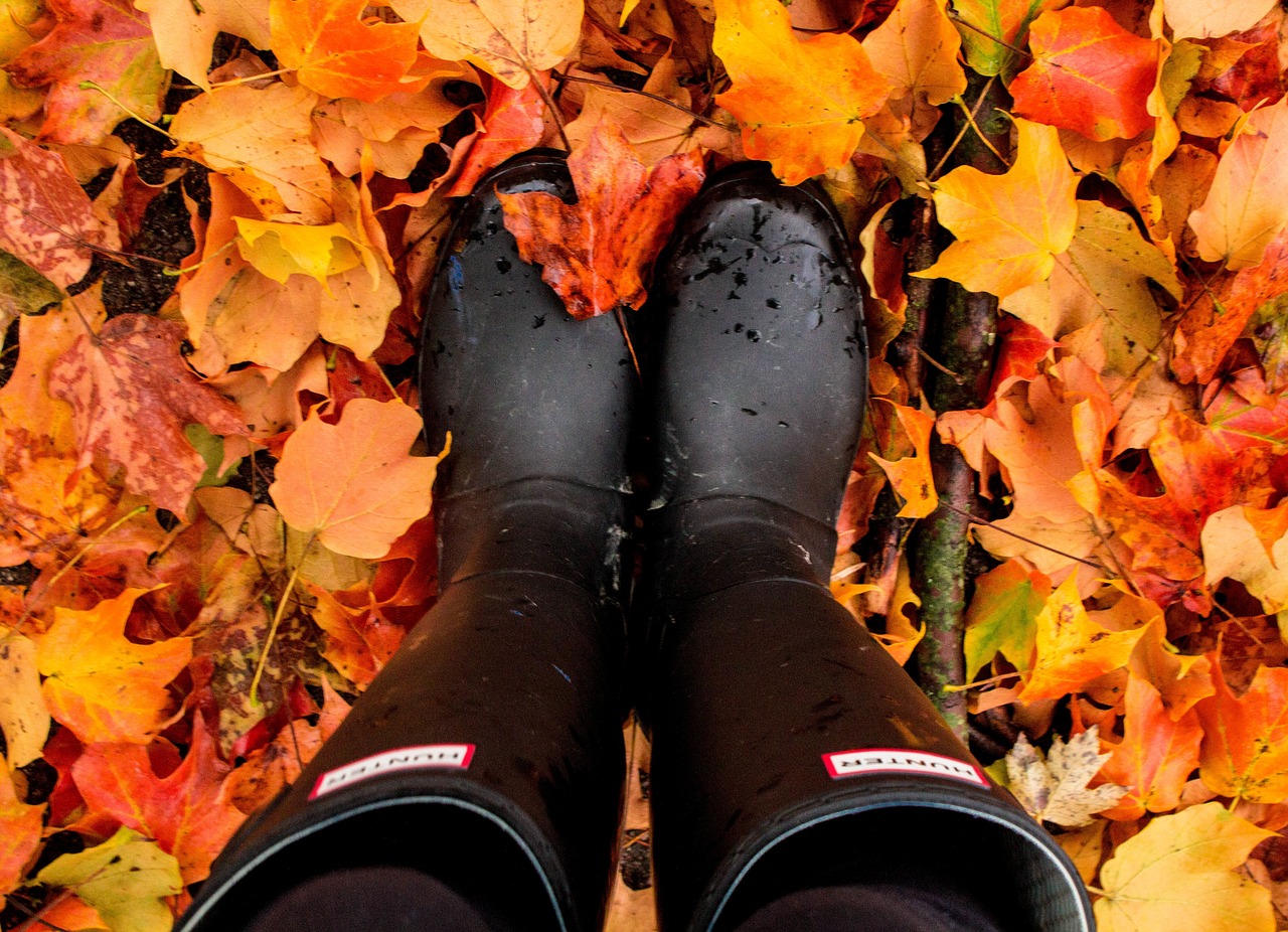 boots plant leaves free photo