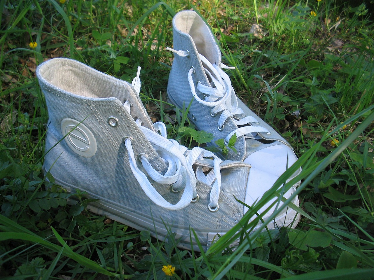 boots summer grass free photo