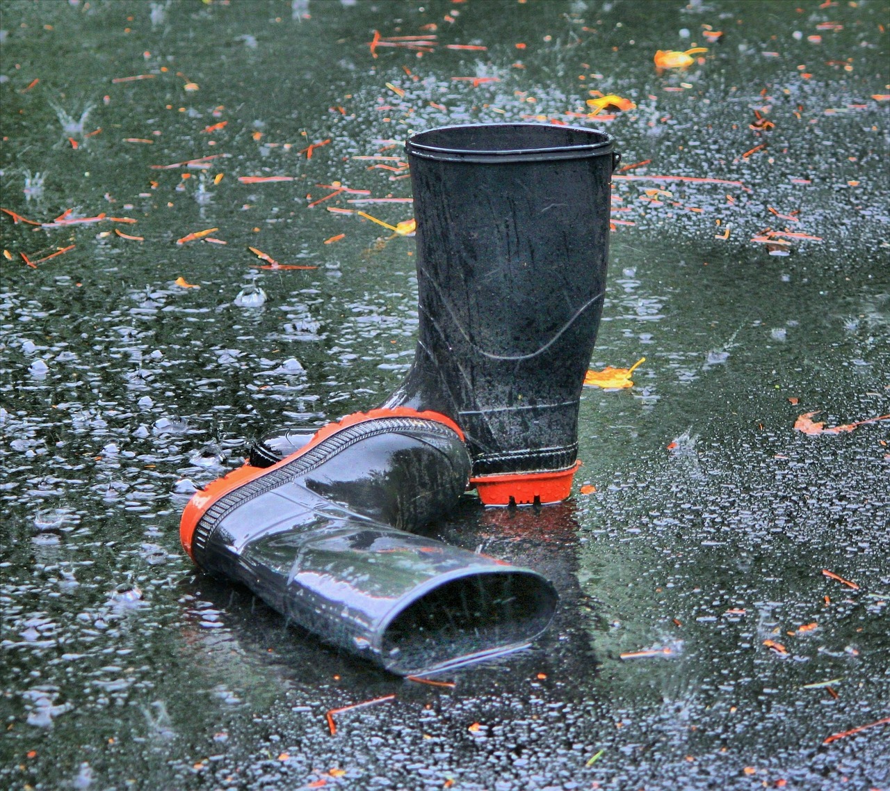 boots rubber galoshes free photo