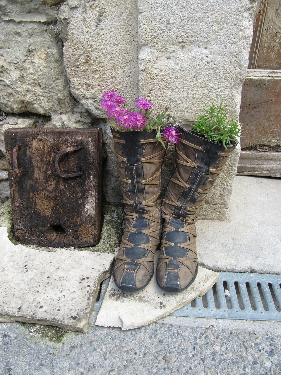 boots flowers plants free photo