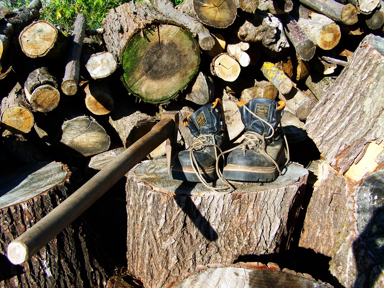 boots wood-cutting stumps free photo