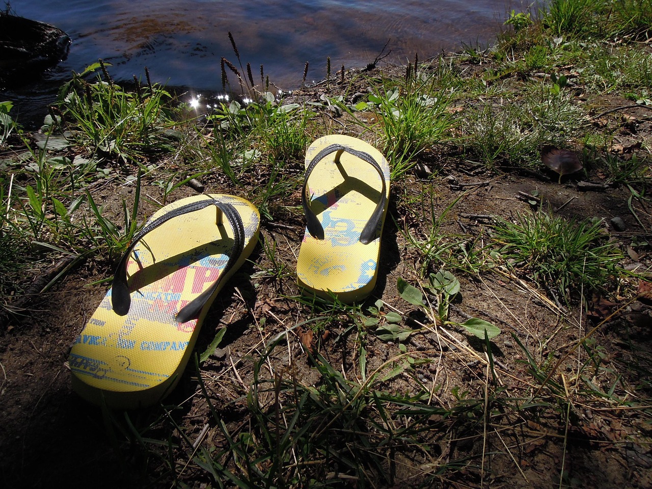 flip-flops summer water free photo