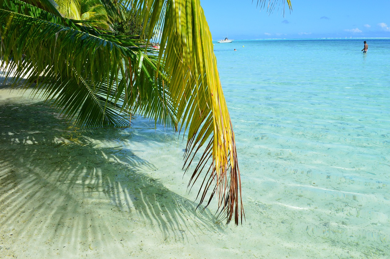 bora bora tahiti beach free photo