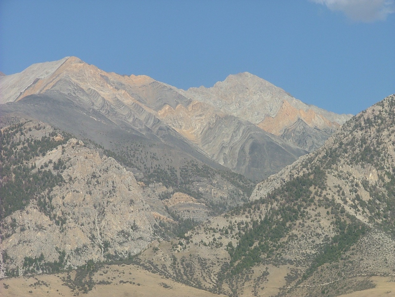 borah idaho range free photo