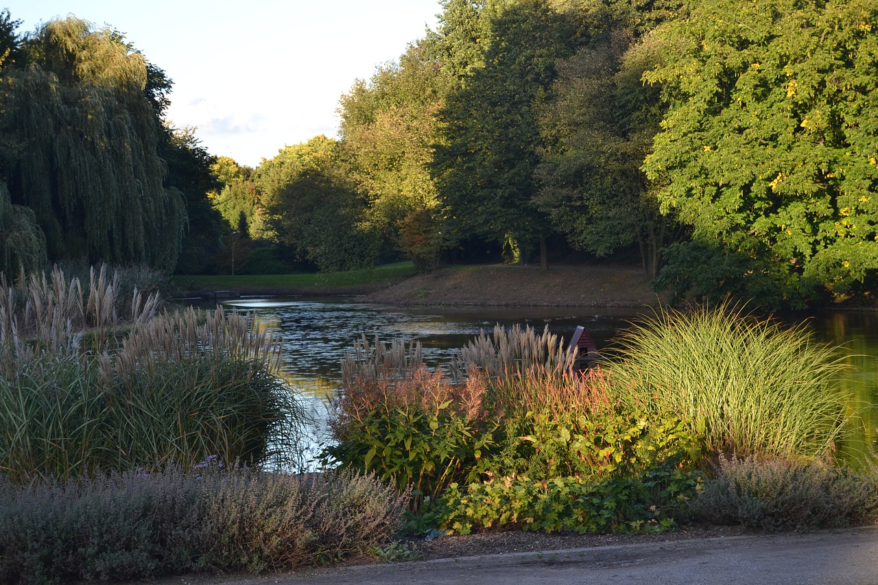 borbeck castle park north rhine westphalia free photo