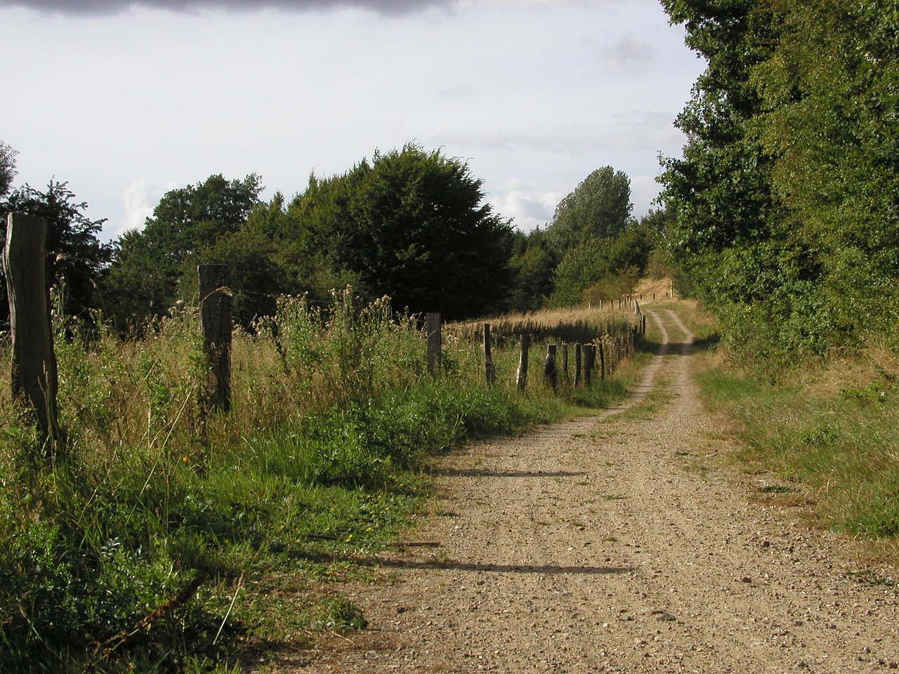 lane borde holm eidertal free photo