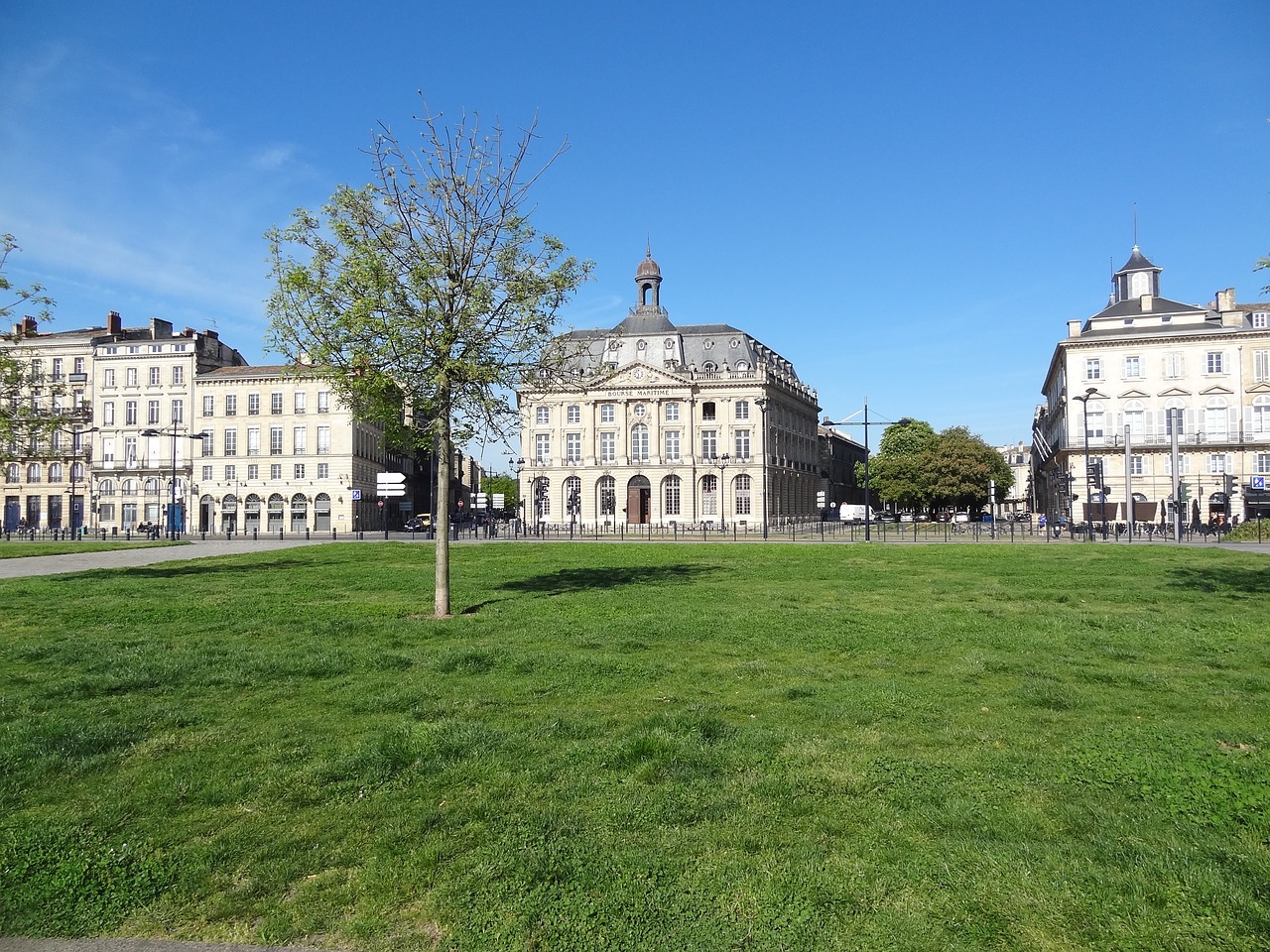 bordeaux lawn blue sky free photo