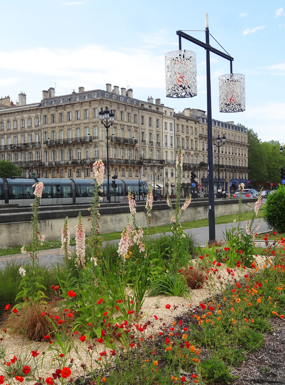 bordeaux  road  flowers free photo