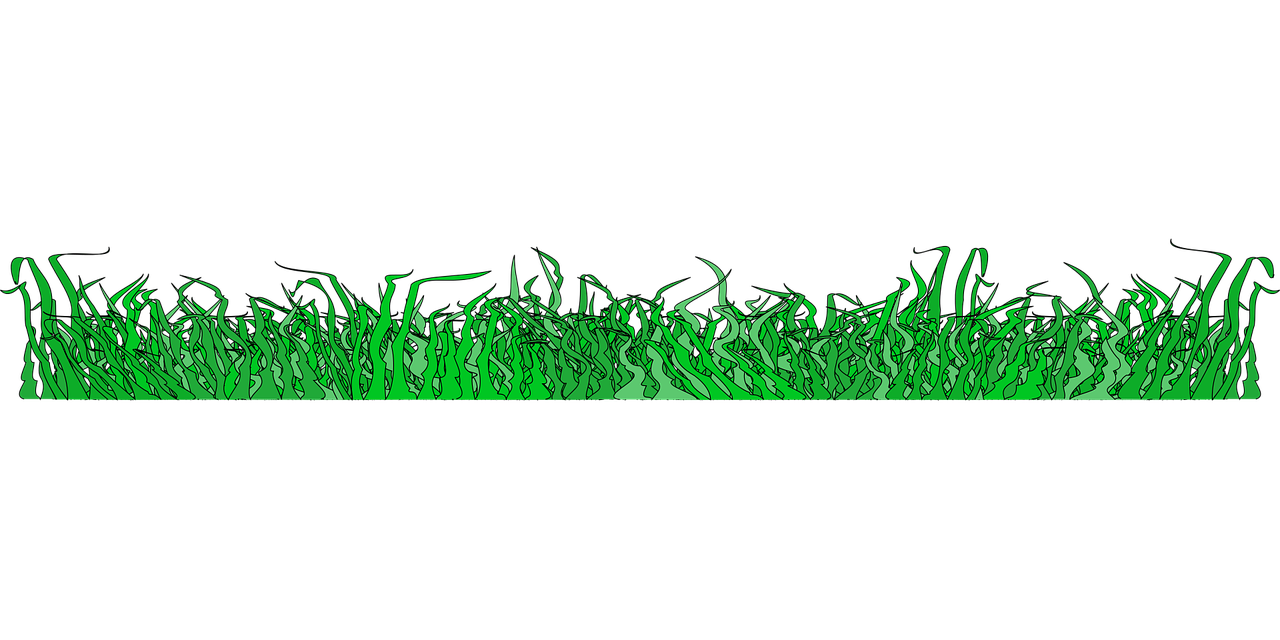 border divider grass free photo