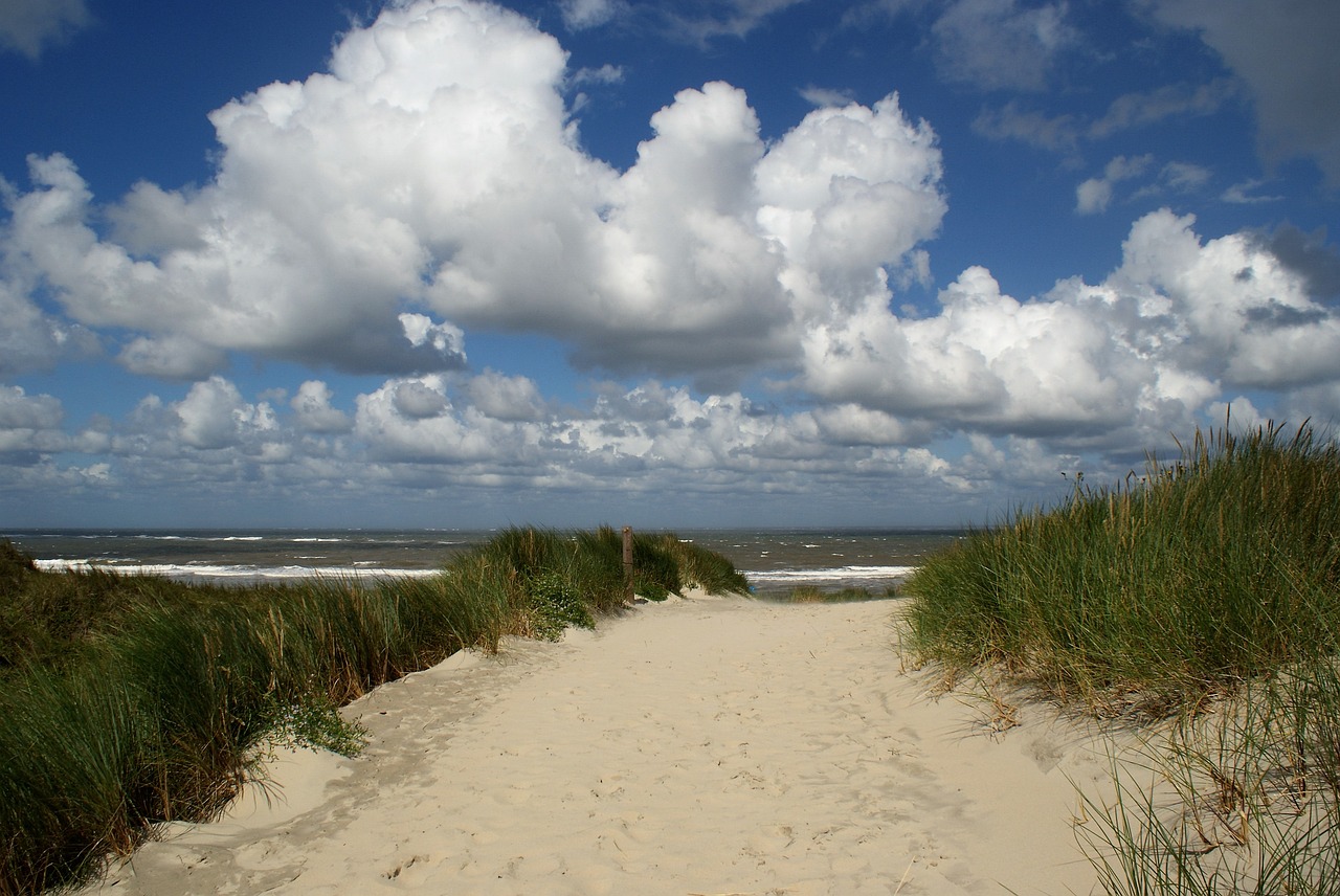 borkum north sea beach free photo