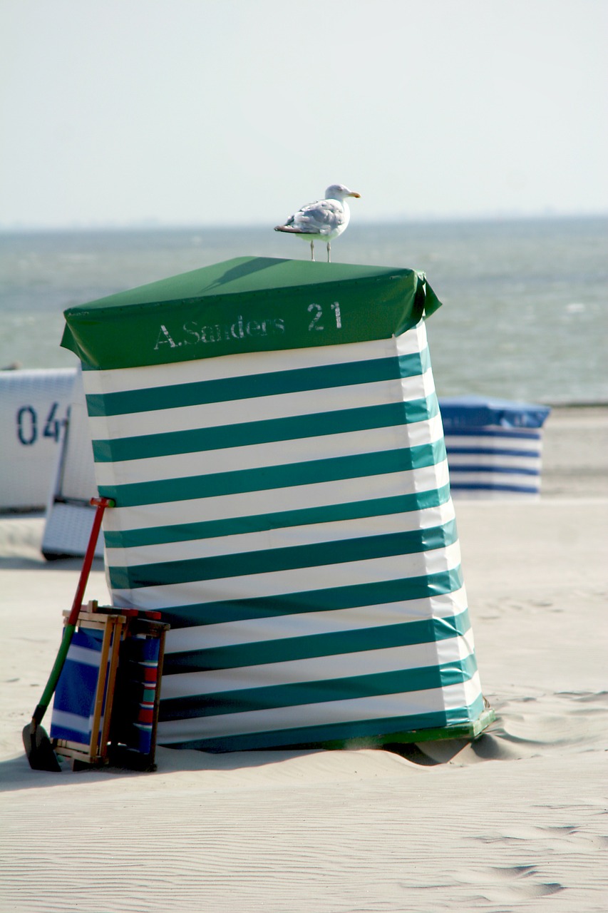 borkum beach tent seagull free photo