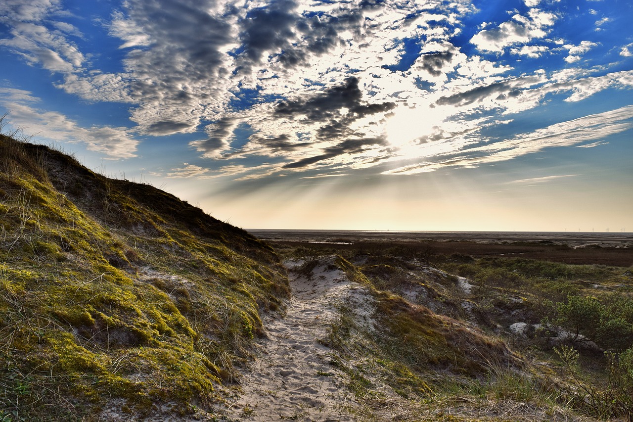 borkum evening dunes free photo