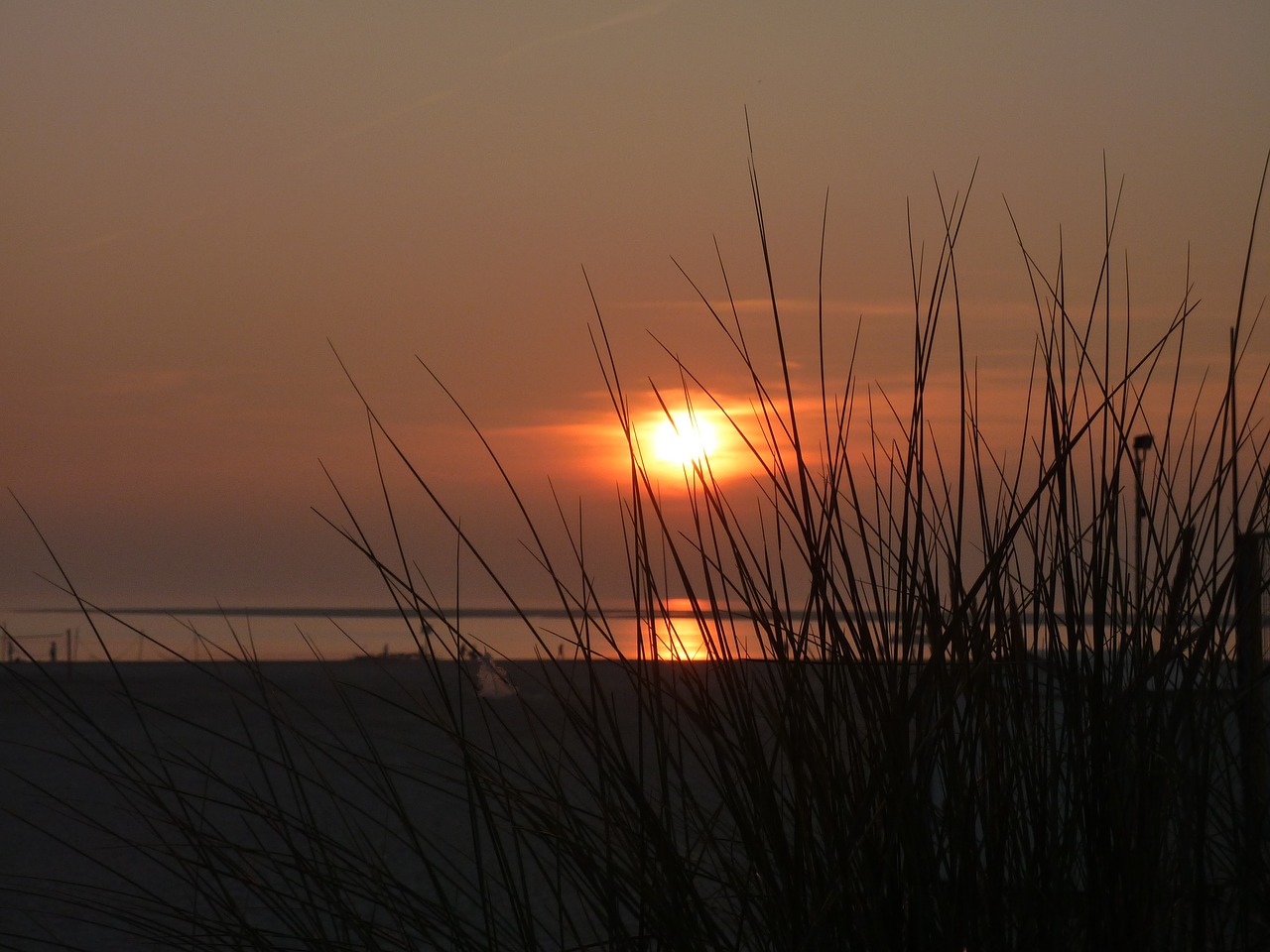 borkum sunset dunes free photo