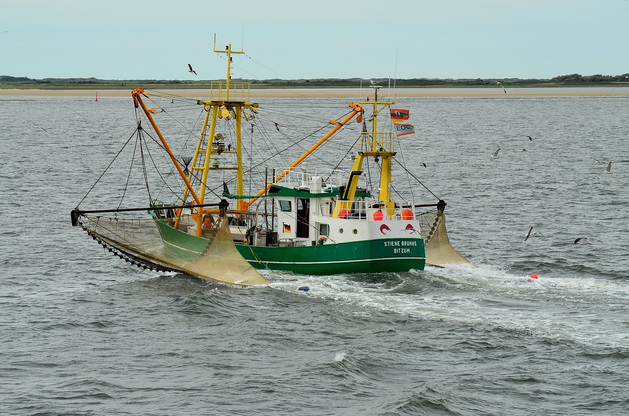 borkum fishing boat fishing free photo