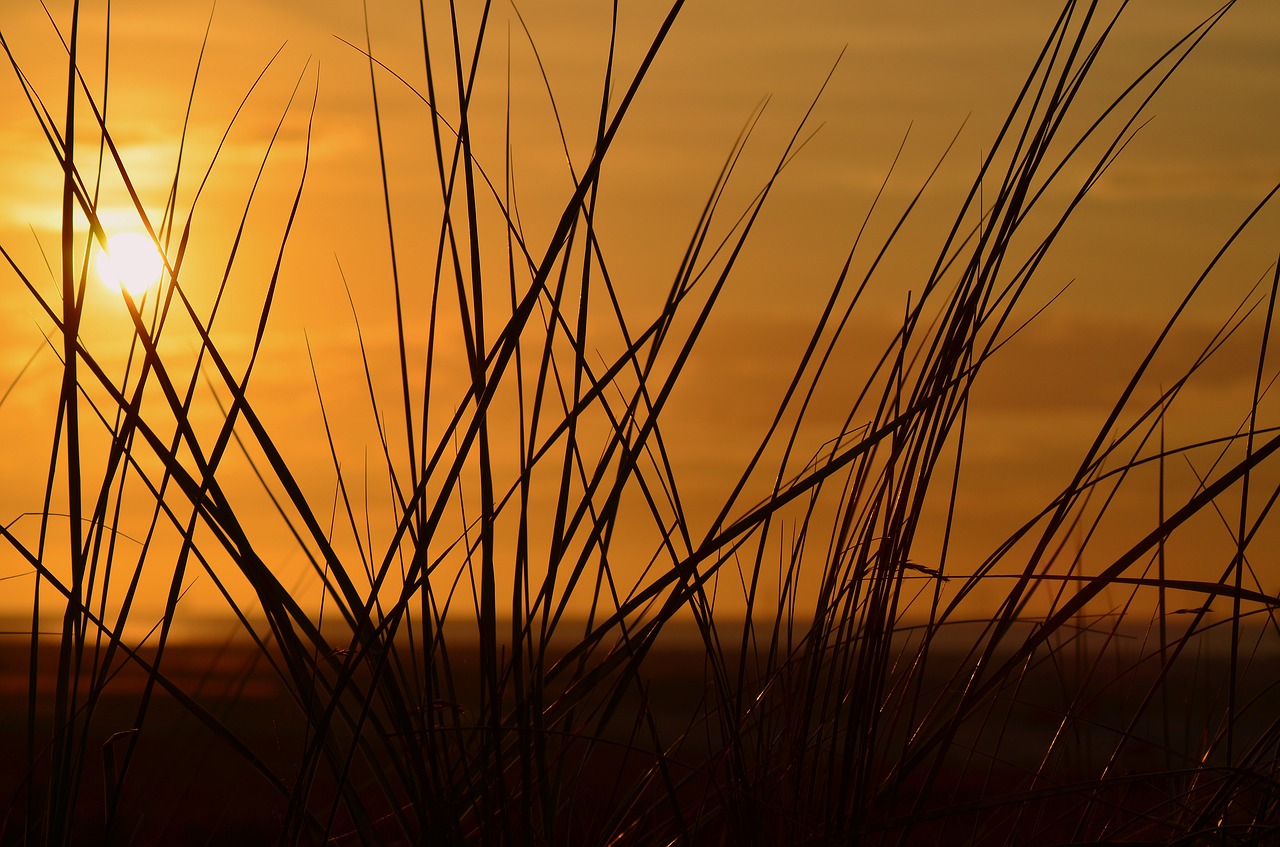 borkum sunset mood free photo