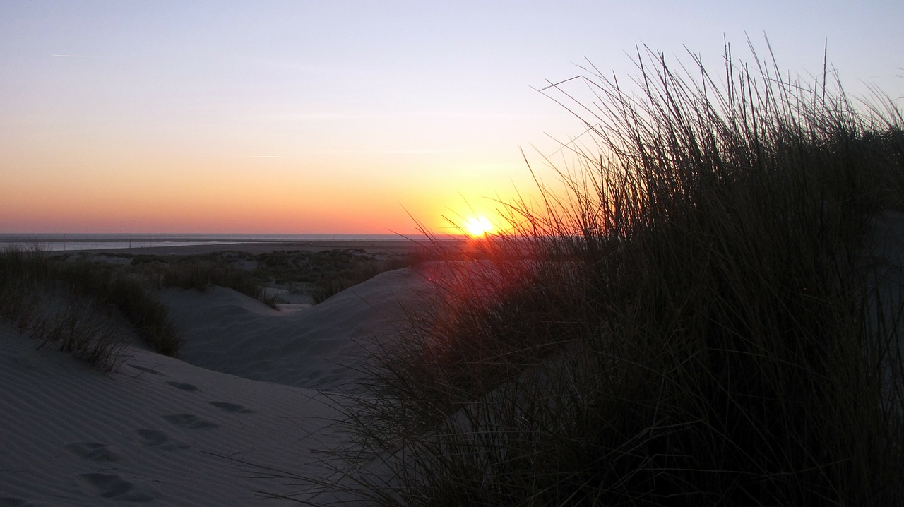 borkum sunset dunes free photo