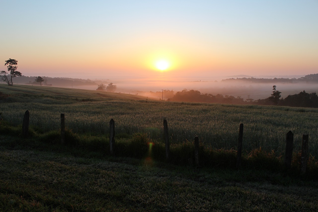 born sun fog river valley itapetininga free photo