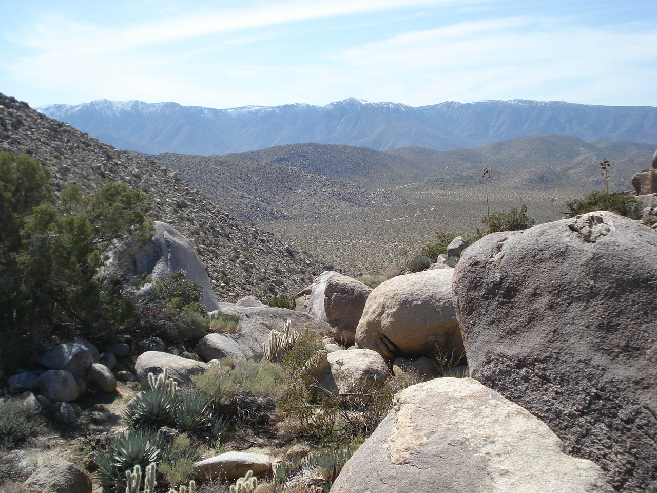 borrego california desert free photo