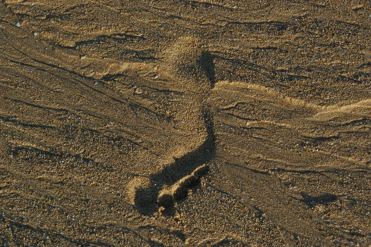 borrows sand beach free photo