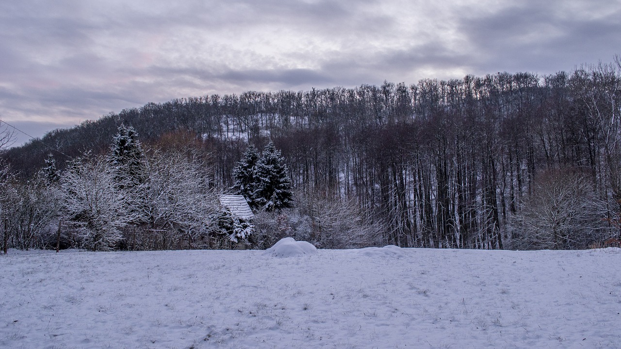 börzsöny  hungary  winter free photo