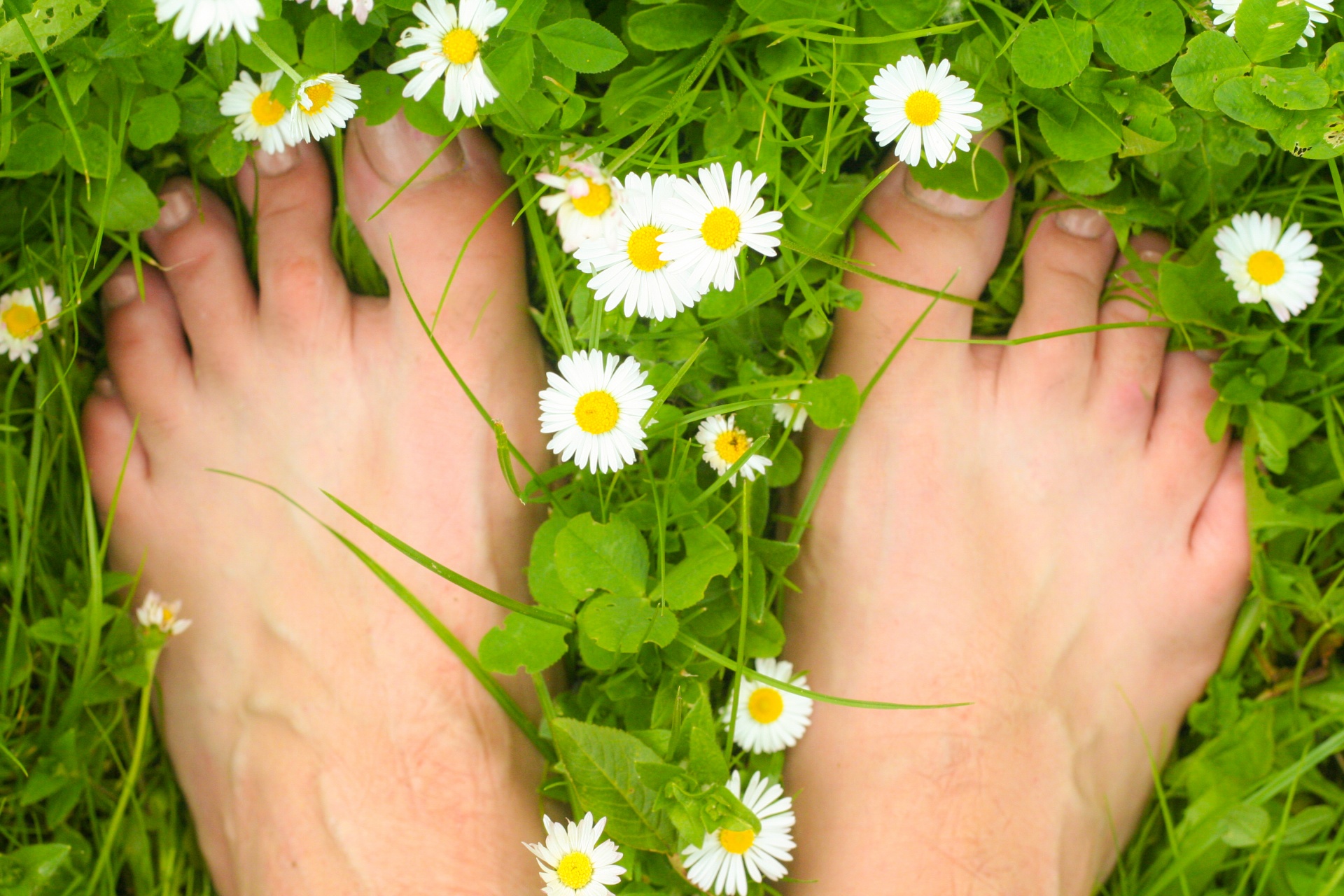 feet grass green free photo