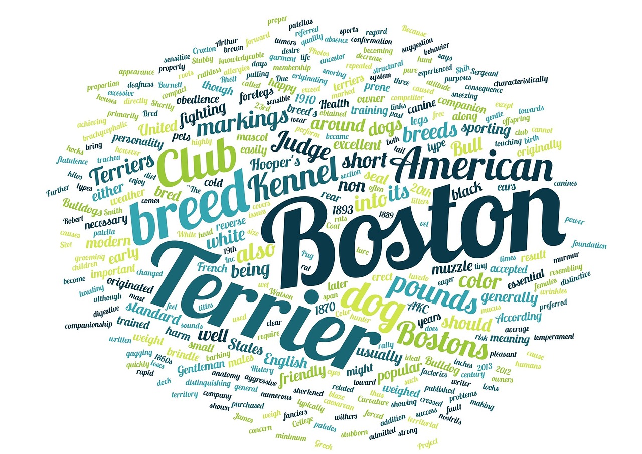 word cloud boston terrier free photo