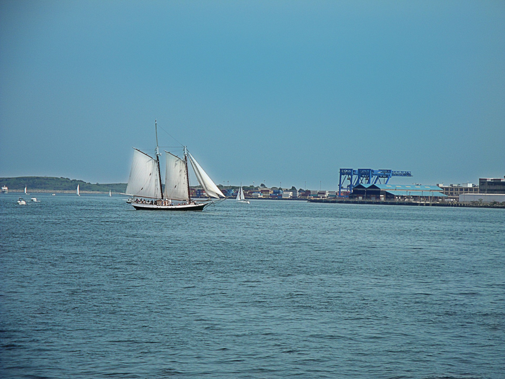 boston water sailboat free photo