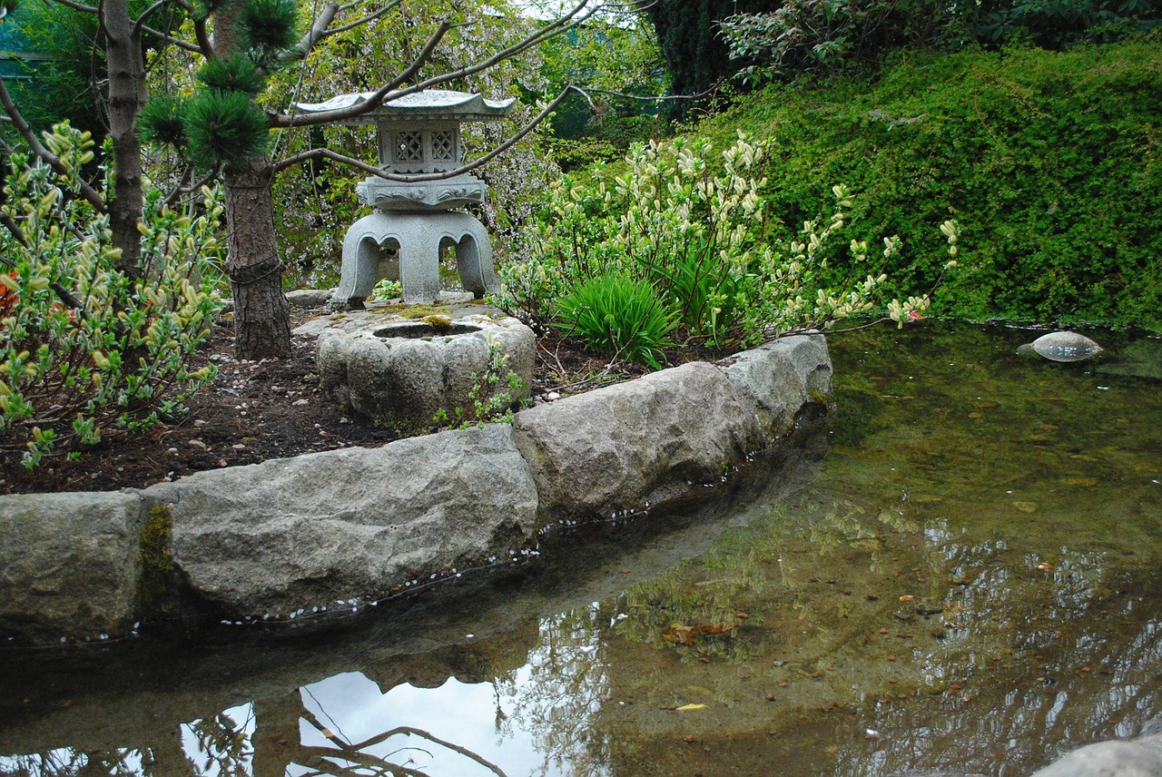 botanical garden water pond free photo