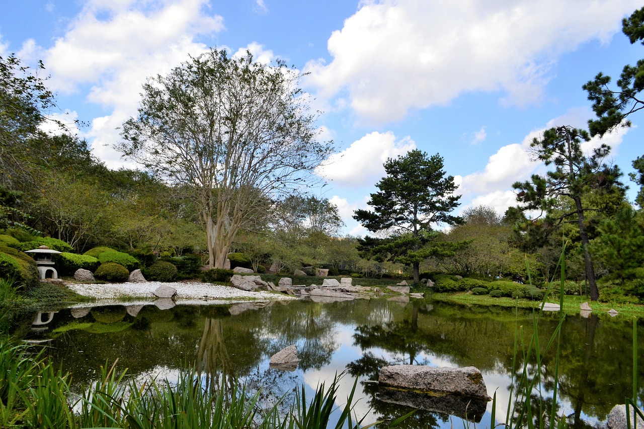 botanical garden japanese garden houston free photo