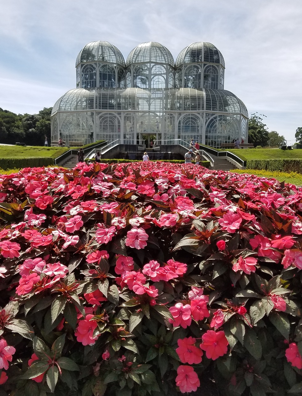 botanical garden curitiba paraná free photo