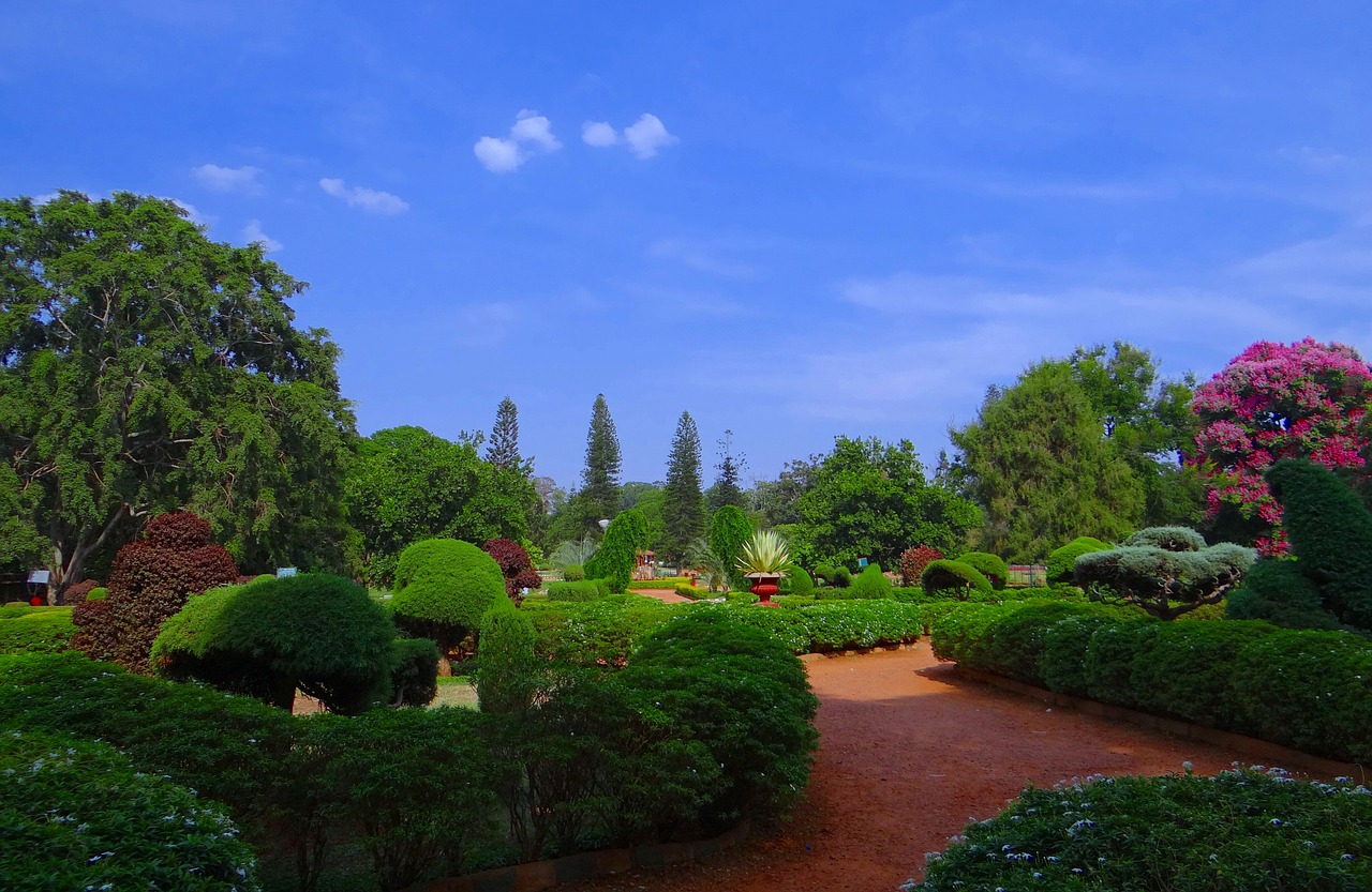 botanical garden lal bagh park free photo