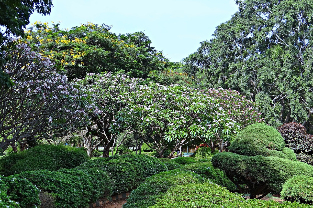 botanical garden lal bagh park free photo