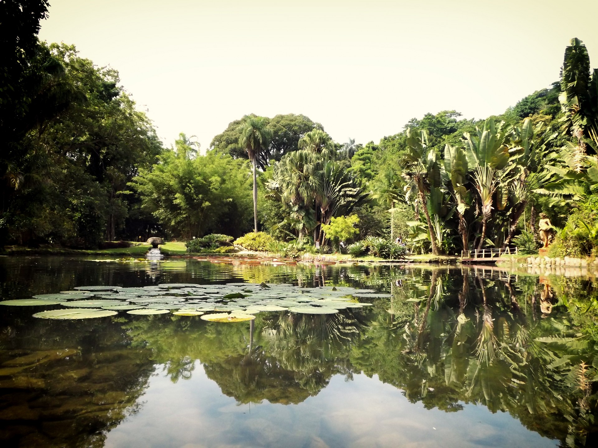 garden brazil botanical free photo