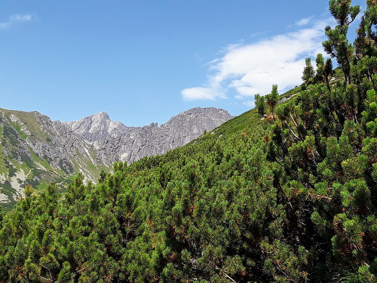 both solisko  vysoké tatry  slovakia free photo