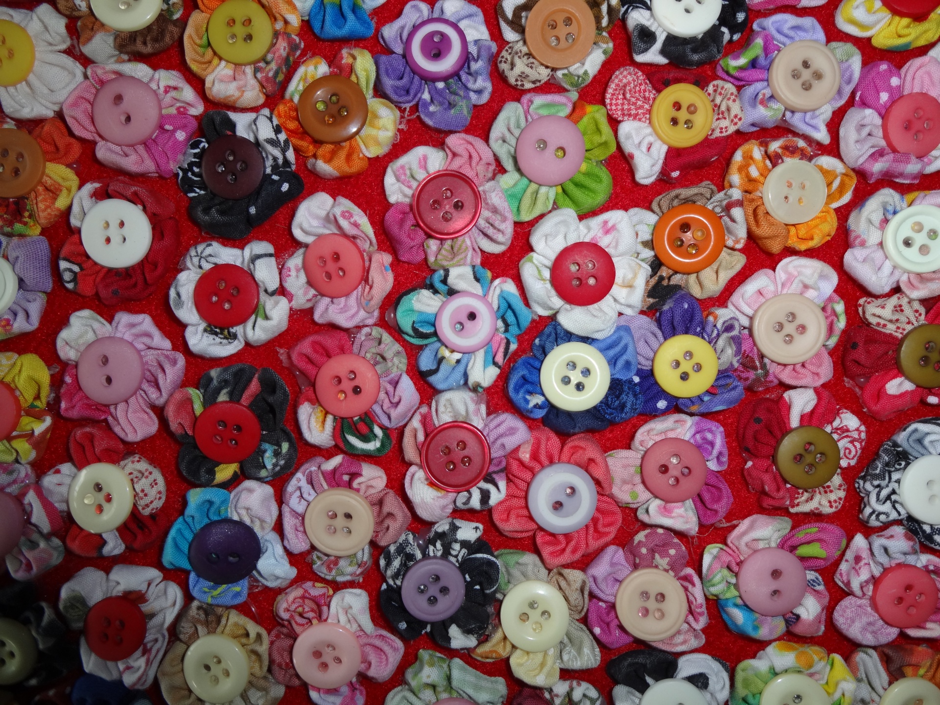 buttons sewing buttons free photo