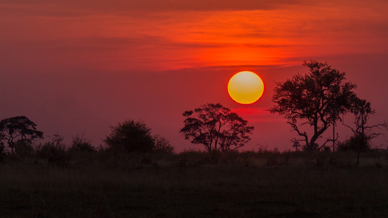 botswana okavango delta sunset free photo