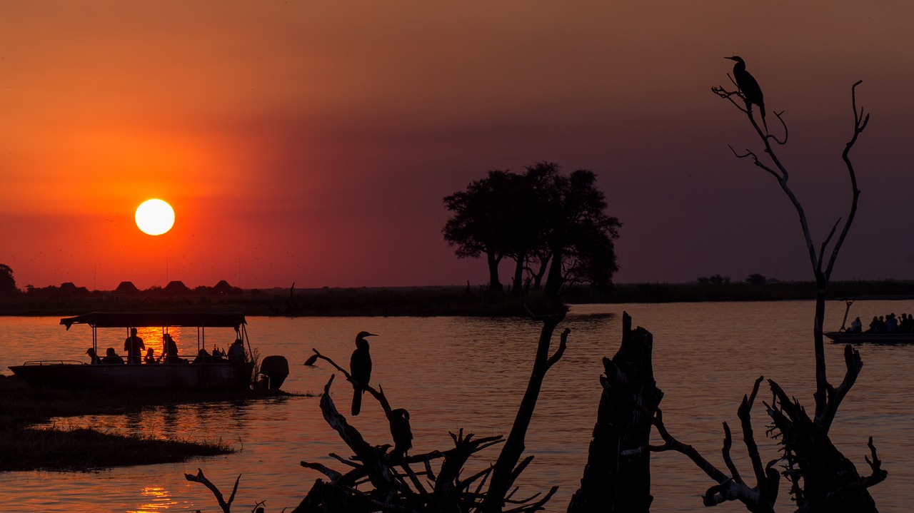 botswana chobe sunset free photo