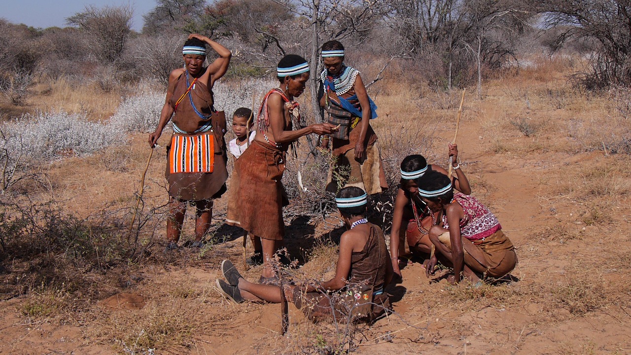 Botswana Bushman Group Collect Indigenous Culture Free Image From