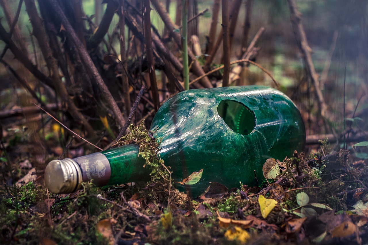 bottle  broken  forest free photo