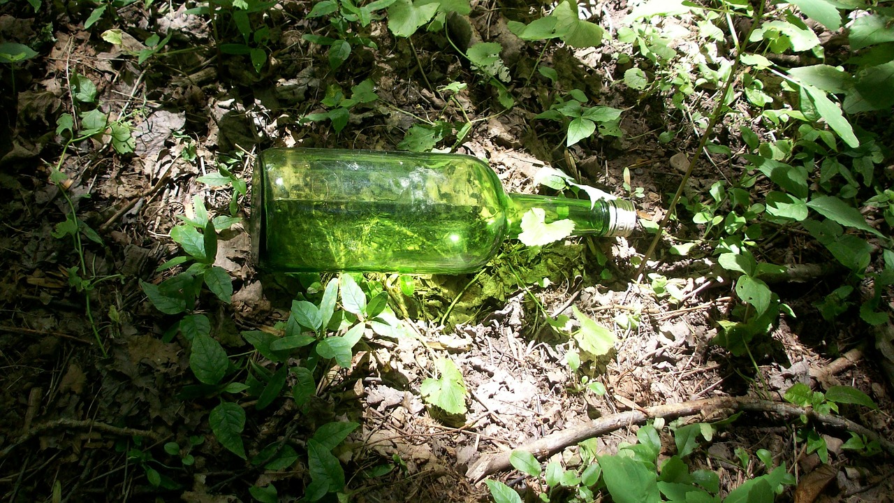 bottle glass green free photo