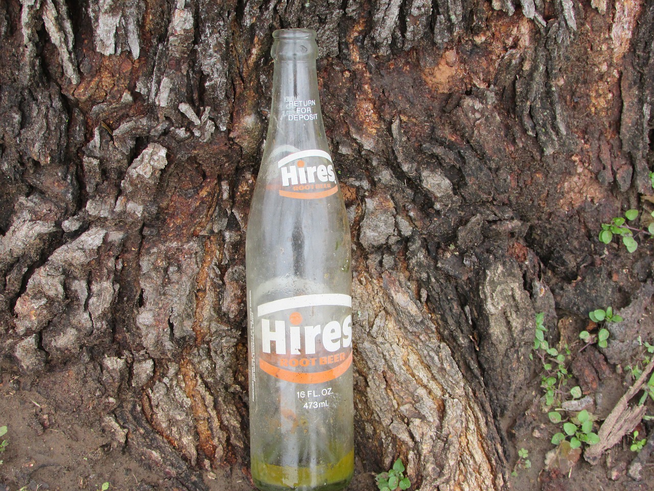 bottle trash root beer free photo