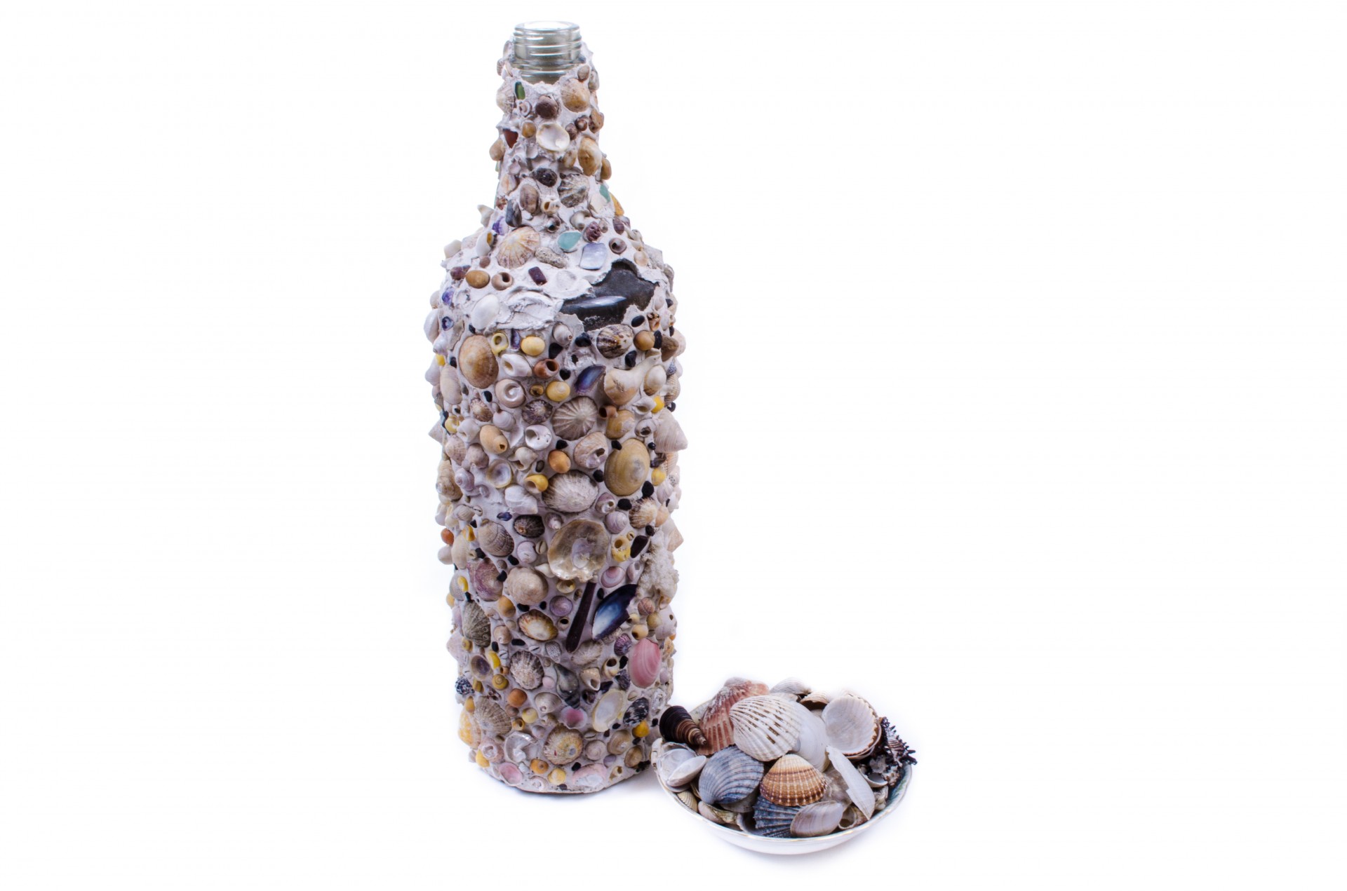 bottle seashells shells free photo