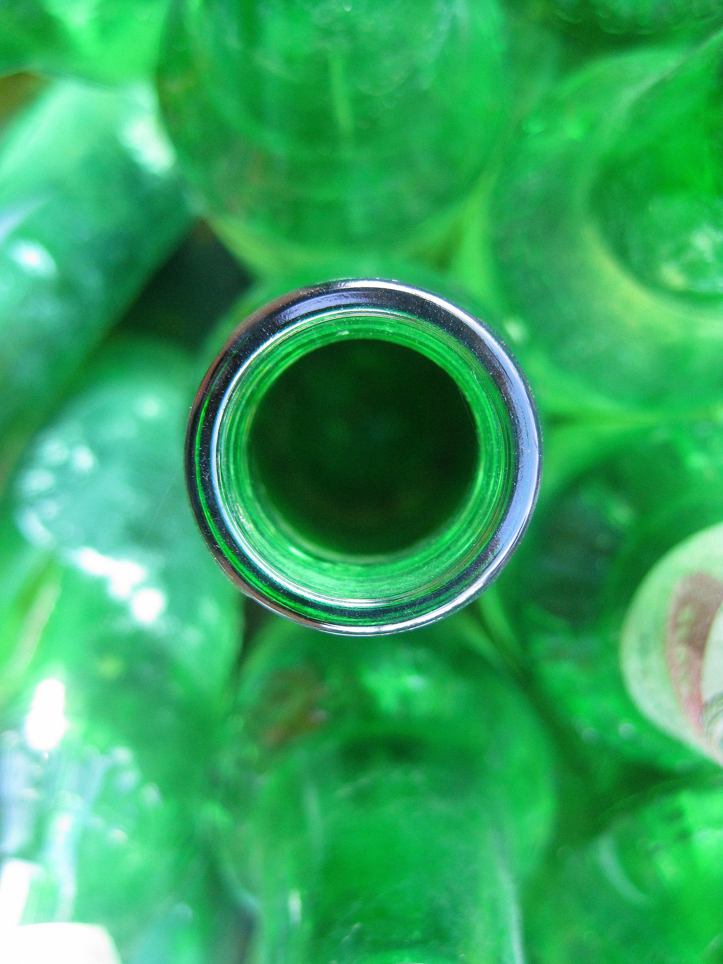 bottle green mouth free photo