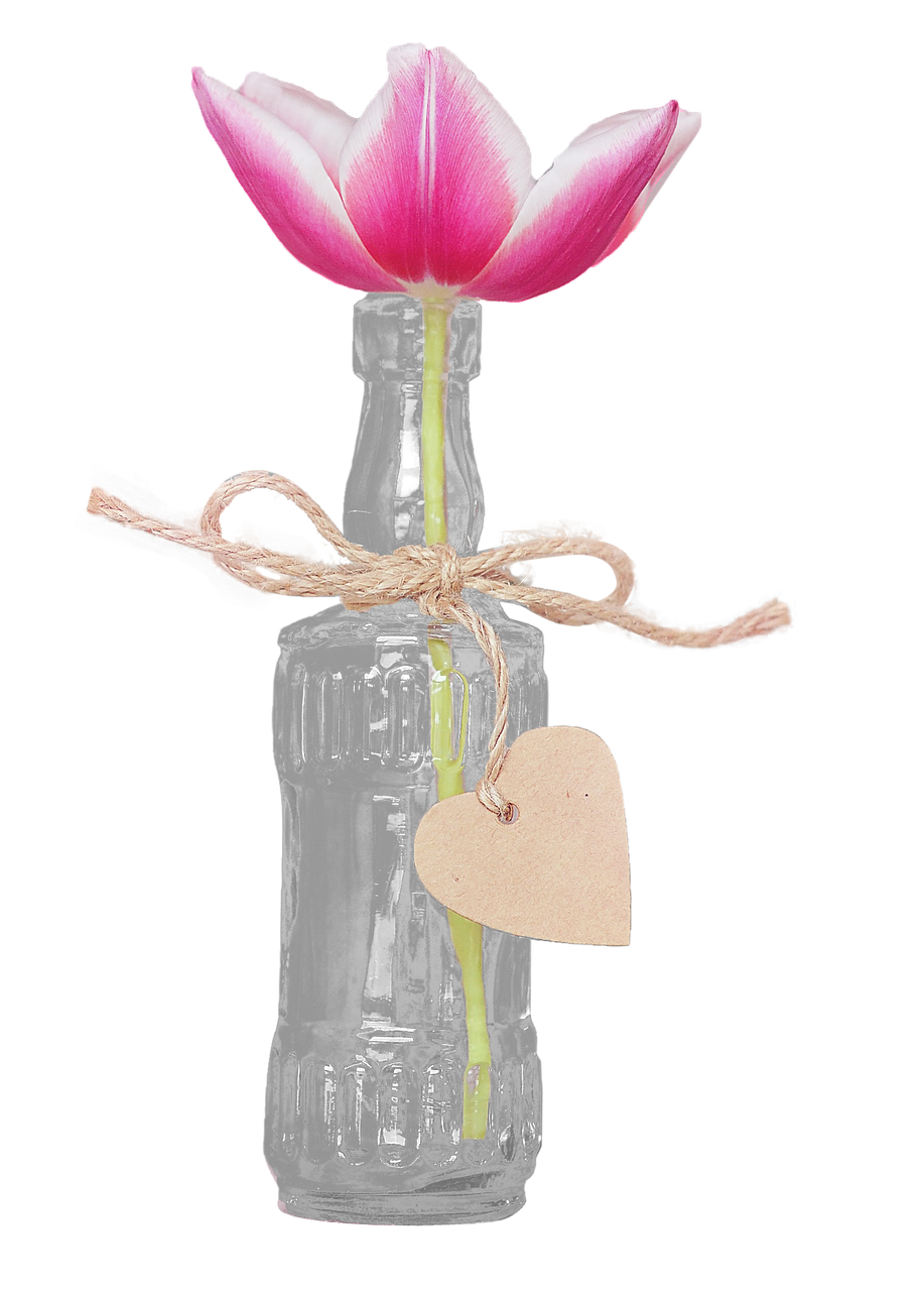 bottle with tulip transparent isolated free photo