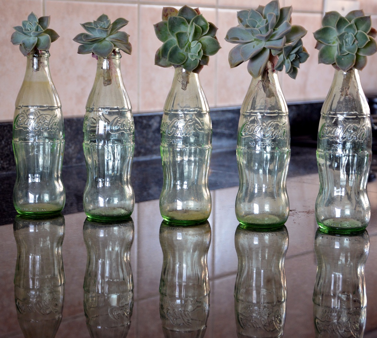 bottles decoration glass jar free photo