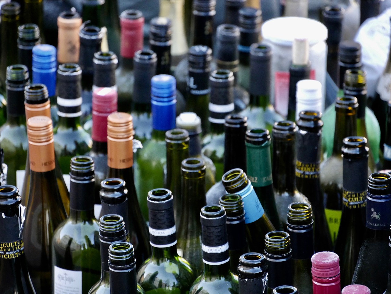 bottles wine bottles recycled glass free photo