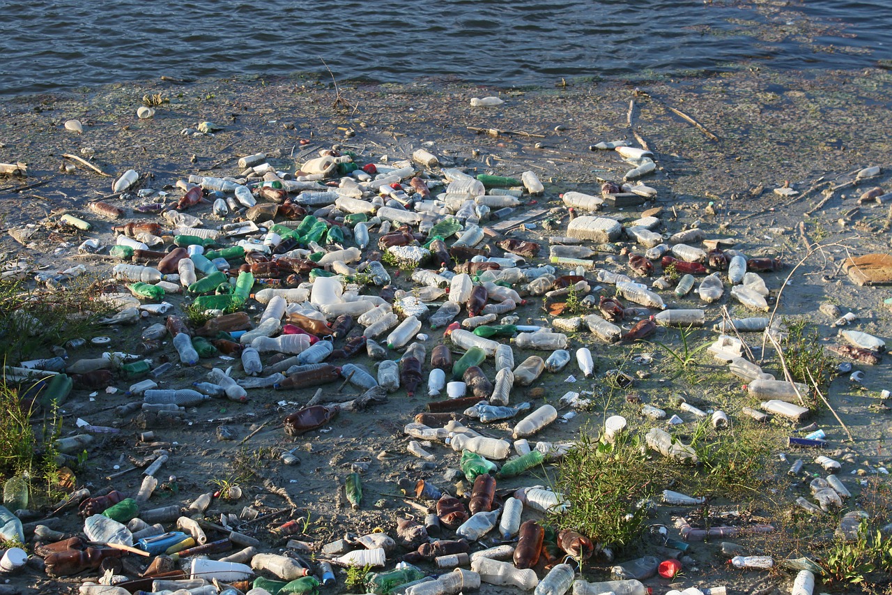 bottles dump floating free photo