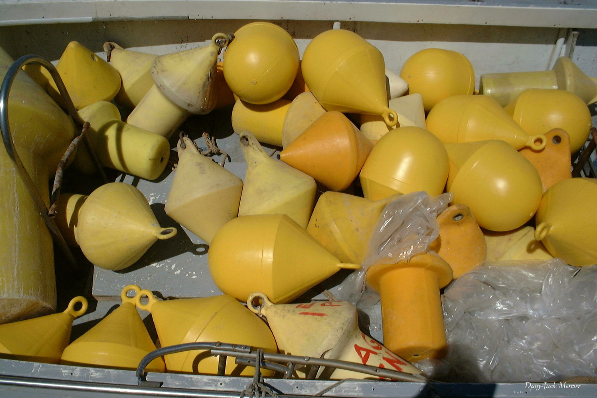 buoys forms cap free photo