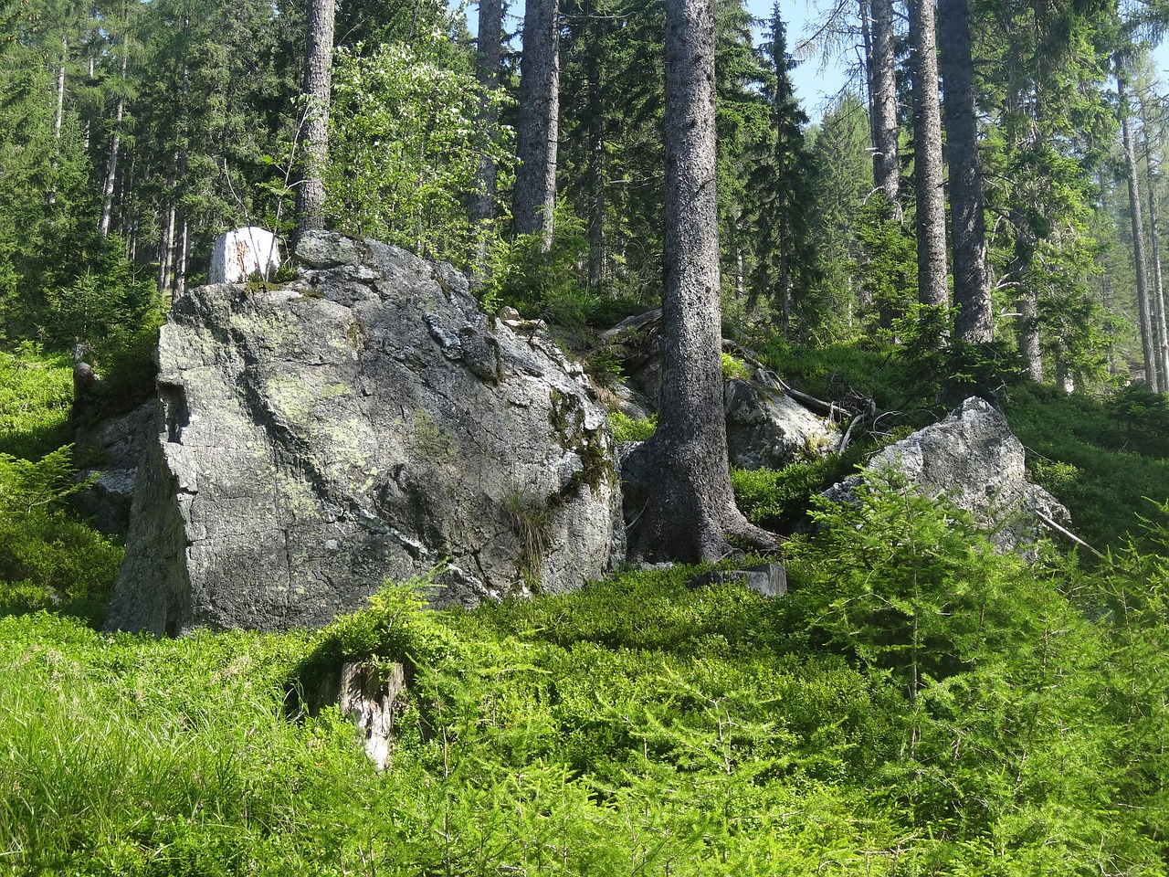 boulder rock stones free photo