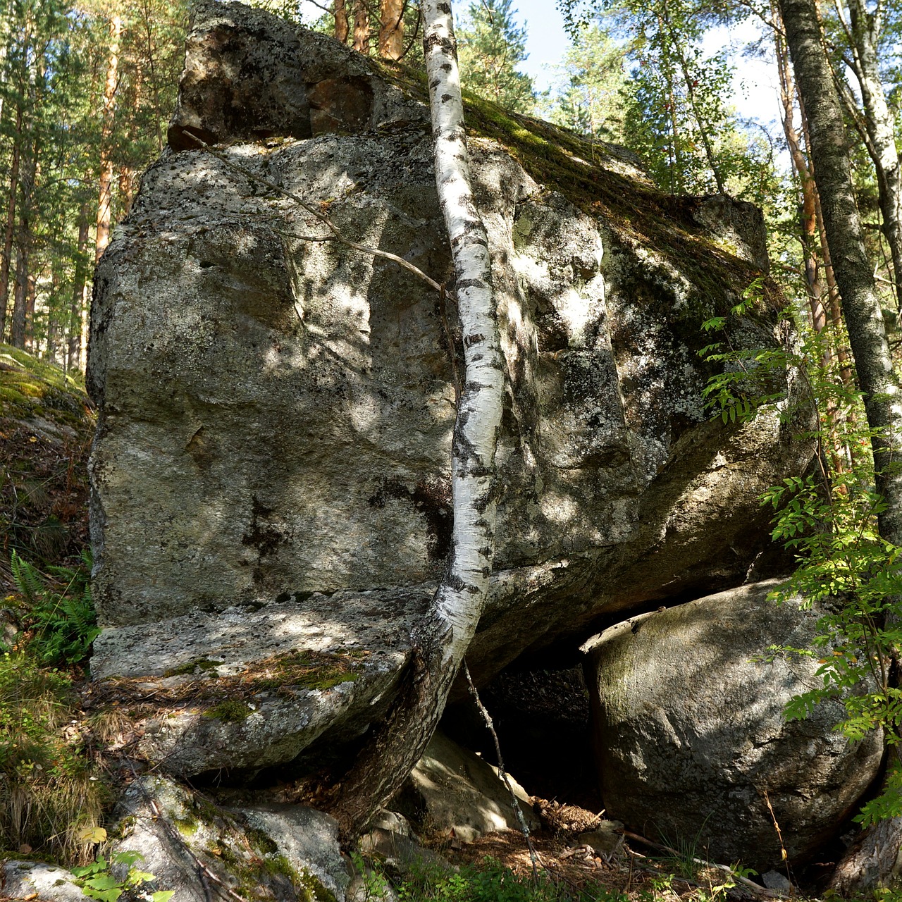 boulder stone the ice age free photo